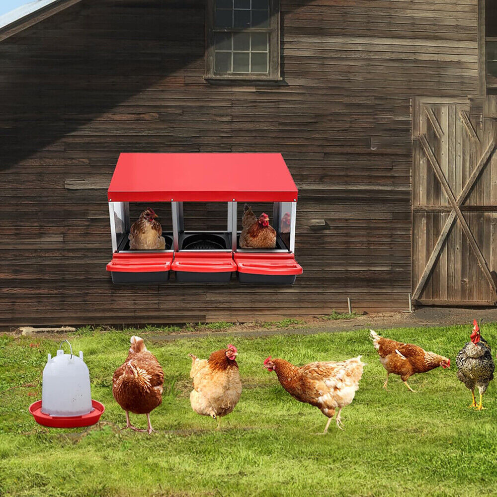 3 Hole Roll Away Egg Nesting Box